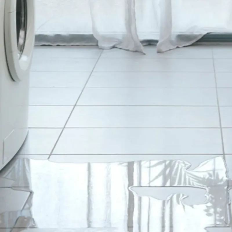 Appliance Leak Cleanup in Bellaire, TX