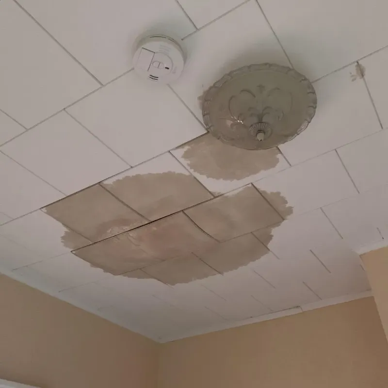 Ceiling Water Damage Repair in Bellaire, TX